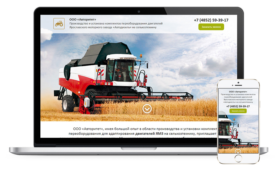 Разработка лендинга для ООО «Авторитет»